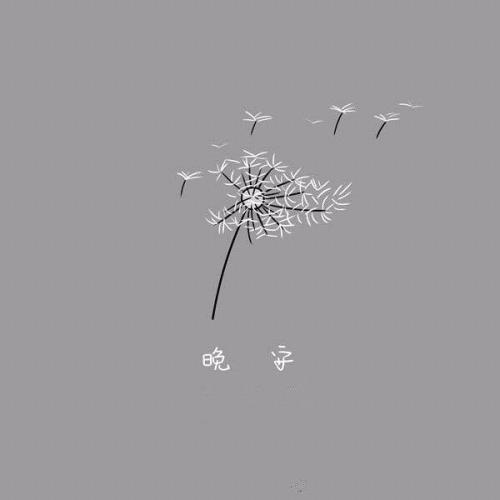 晚安前的美丽句子