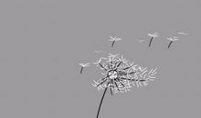 晚安前优美句子