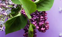 亲情细节描写句子