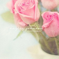 11.就家庭关系而言,这种思想不如师生之间认真。它不像朋友一样对彼此开放。总是有难以言说的,不清楚的味道,涩涩的,微甜的,甜的和有益的。