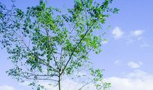 有点开心有点丧的句子 不要丧要开心的句子