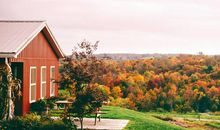 关于开心的作文句子大全