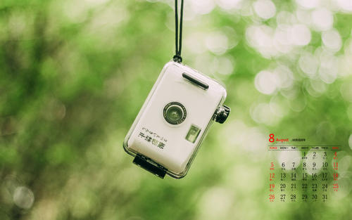 11.阳光在教室里散发出耀眼的光彩，照耀着幸福而激动的脸，每张脸都像一朵花。