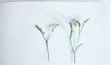 他开心我也开心的句子