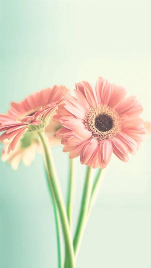 10.什么是家庭感情?而爱情是一种神秘而无限的,可以使灵魂向歌声闪耀而忘记爱情。