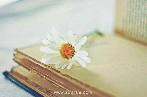 10.痛苦,我该怎么办,逃避不是办法,调整我的心情,不要担心学习,不要与孩子吵架,更不用说战斗了!