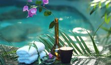 修心养性的句子