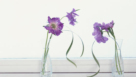 11.家庭感情伴随着生命如血一般;爱就像衣服。友谊取决于您喜欢食物的能力。