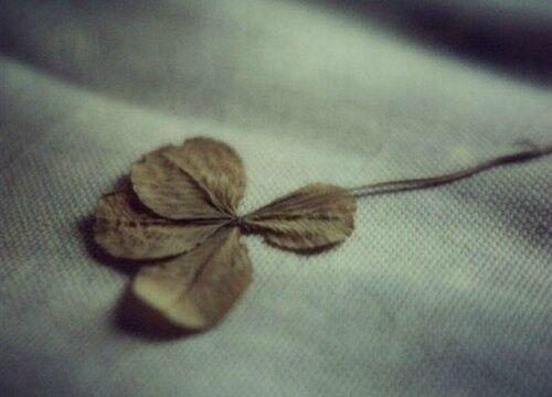 9.忆及均瑶是潇湘月,我很伤心地听到长猿梦想。 -王长龄《送威尔》