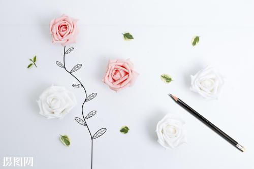 12.家庭之爱是阳光，温暖和寒冷时，它像风中的花瓣一样照在你身上；