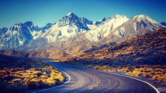 10.小马拉哈（蒙古），眉毛清晰，红红的嘴唇，洁白的牙齿，圆的脸，高鼻子，黑色卷发，非常英俊。只是耳朵又长又丑，而老人却说这是佛像，真幸运。