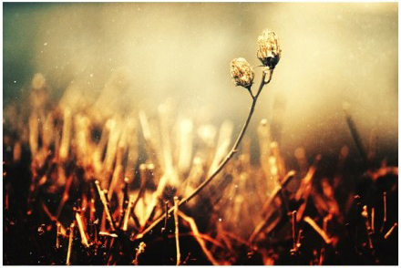 10.家庭和感情是一堆挂在脖子之间的钥匙，打开忧郁的门窗。