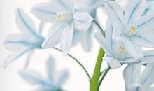 形容亲情重要的句子