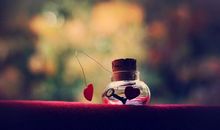 时光流逝的句子亲情