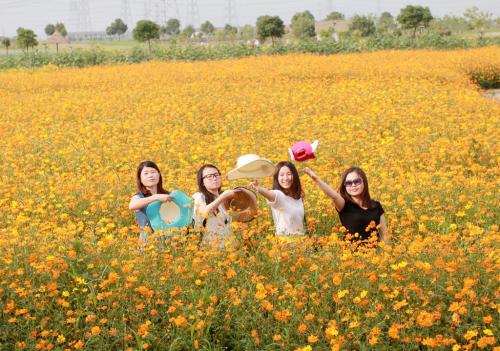 11.对于智者,建议是多余的;对于傻瓜来说,忠告是不够的。