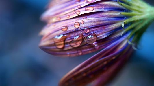 10.家是人们最关心的地方。家是爱的家。家是爱的巢穴。