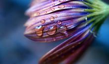 亲情哲理描写的句子