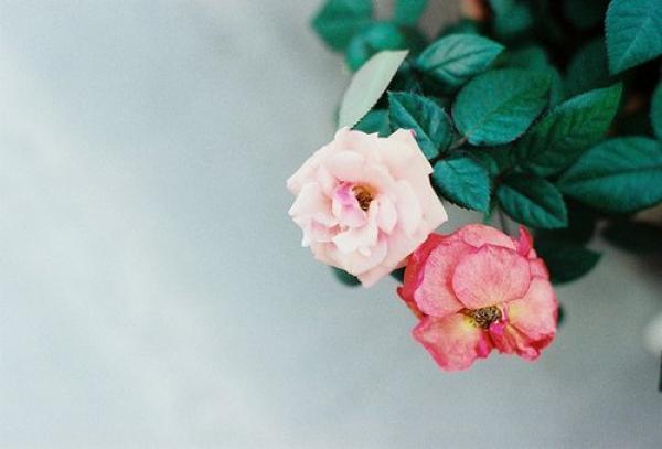 12.什么是家庭感情？它是一种珍贵的丝绸，细腻而光滑。