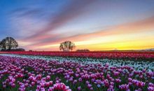 祝你开心的温暖句子