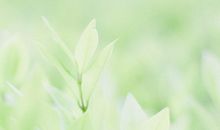 我要让你每天都开心的句子