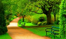 举例子的句子有哪些