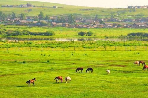 12.有朋友的人在生活中有乐趣。单独喝茶不能尝到味道。即使一个人吃饭,他们的食欲也不会很大。如果多个人一起吃饭,它会增加香味。