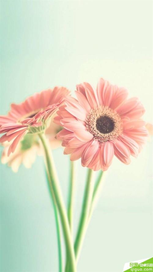 11.家庭的爱是无止境的。您将终生体验他的存在。