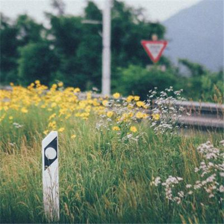 12.家就是家，无论贫富，它都是您唯一的家。尽管它一直保持沉默，但是它的位置不能被任何东西取代。