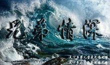 关于兄弟情深的句子