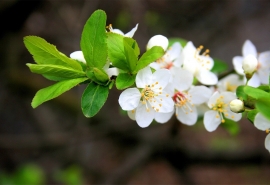 10.什么是家庭感情？这是一幅传世的名画，精美而永恒