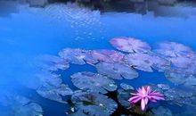 亲情走后的遗憾句子