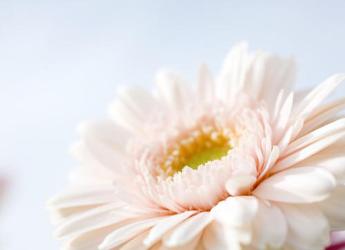 11.朋友是道路上最美丽的风景,友谊是彼此相连的跳动的心弦。我们专用的笔墨,点缀着路上的风景,以真诚的奉献精神,播下了世界上最感人的友谊。