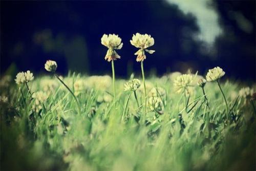 10.彼此相爱,永远幸福,以同样的美德幸福。愿你的爱比海更深!