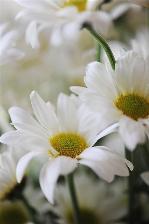 10.什么是家庭感情？深刻的爱带来了家庭的温暖