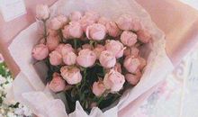 爱和亲情的句子大全