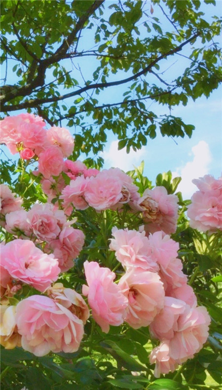 10.我很好。我们都很好。这是最重要的。