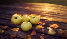 关于感人亲情的句子