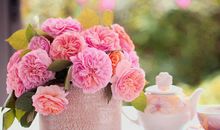 一个旅游的开心的句子