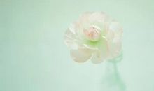 表现我对母亲特有的亲情的句子