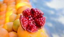 体现亲情细节的句子