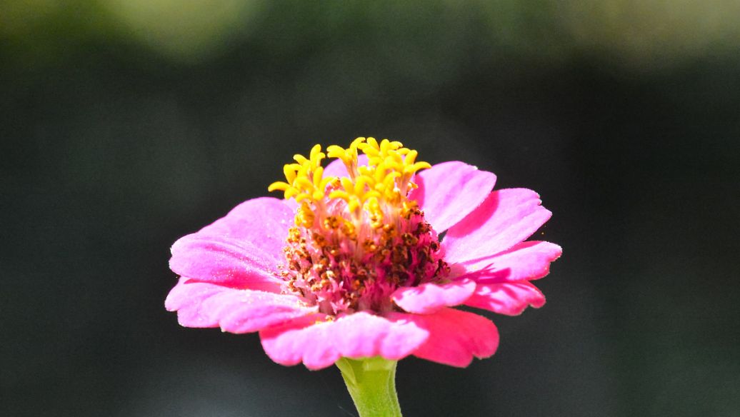 10.多亏了妈妈，她让我明白了：生活不是最好的，只有更好！多亏母亲，她让我明白了：在这个世界上，有些事情比金钱更有价值，例如家庭之爱！多亏母亲，她感到困惑。时间的罗盘将始终指引您正确的方向。