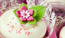 写心情不开心的句子大全