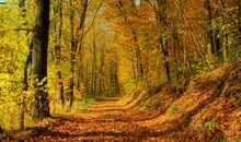 感慨心情描写亲情的句子