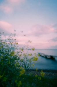 11.谁说一寸粗心，报三春晖。 -孟郊《游子吟》