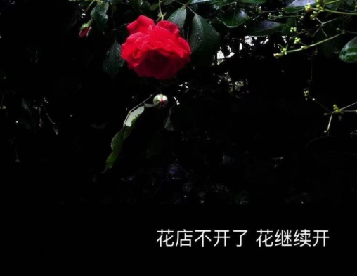 33.在茫茫人海中,不要轻描淡写遇到的每个朋友。会议是命运。