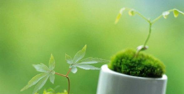 10.由于软弱而可以做的事情，如果在做完后感到后悔，那就更糟了。