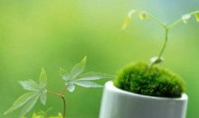 后悔来不及补救的句子