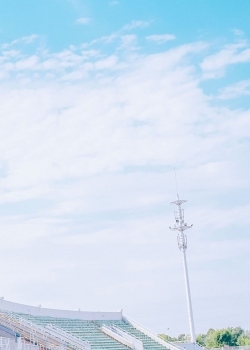 11.母爱是迷失的灯塔，指引着前进的道路；