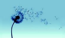 享受生活的句子