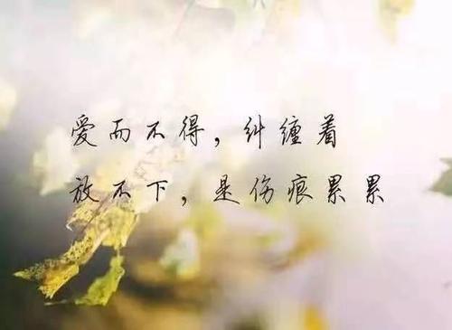 11.有一种结局叫命运，有种心痛叫无尽